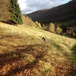 Bock Lonau - Wandern & Erholen Im Nationalpark Harz Апартаменты