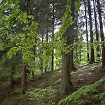 Bock Lonau - Wandern & Erholen Im Nationalpark Harz Апартаменты Херцберг-ам-Гарц