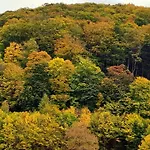 Апартаменты Bock Lonau - Wandern & Erholen Im Nationalpark Harz Херцберг-ам-Гарц