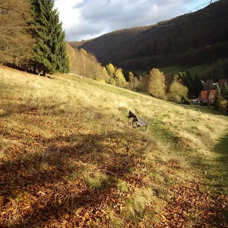 Bock Lonau - Wandern & Erholen Im Nationalpark Harz Appartamento