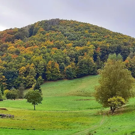 Bock Lonau - Wandern & Erholen Im Nationalpark Harz Appartamento Herzberg am Harz