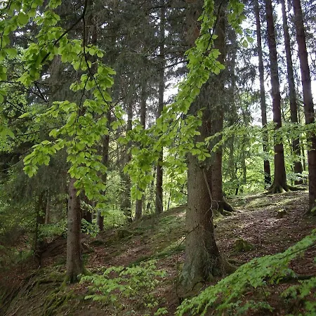 Bock Lonau - Wandern & Erholen Im Nationalpark Harz Appartamento Herzberg am Harz