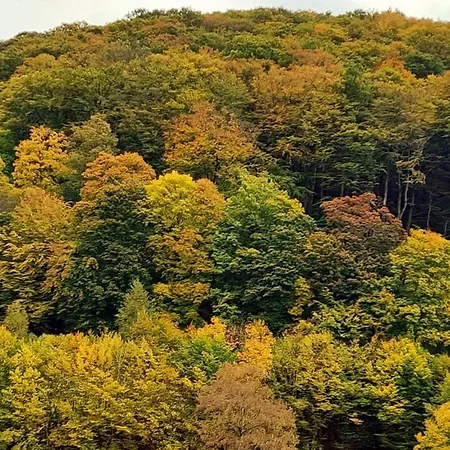 Appartamento Bock Lonau - Wandern & Erholen Im Nationalpark Harz Herzberg am Harz