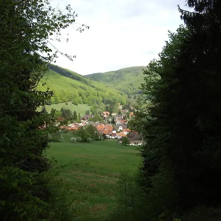 Bock Lonau - Wandern & Erholen Im Nationalpark Harz Appartamento *