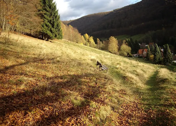 Bock Lonau - Wandern & Erholen Im Nationalpark Harz Διαμέρισμα