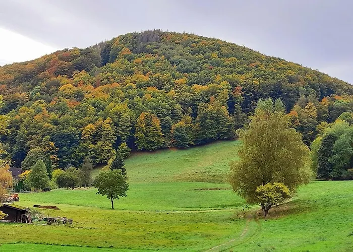 Bock Lonau - Wandern & Erholen Im Nationalpark Harz Διαμέρισμα Herzberg am Harz