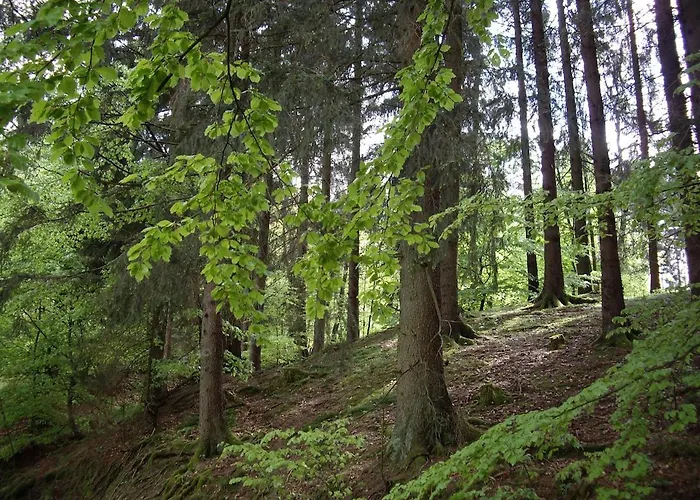Bock Lonau - Wandern & Erholen Im Nationalpark Harz Διαμέρισμα Herzberg am Harz