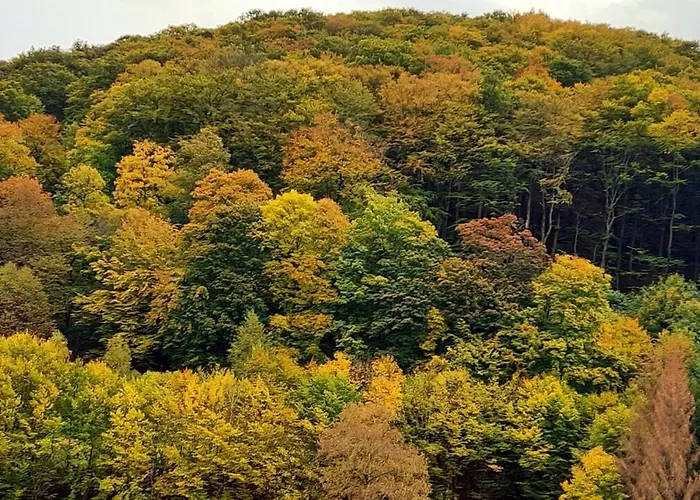Διαμέρισμα Bock Lonau - Wandern & Erholen Im Nationalpark Harz Herzberg am Harz