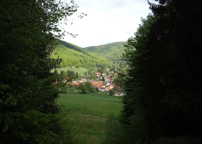 Bock Lonau - Wandern & Erholen Im Nationalpark Harz Διαμέρισμα *