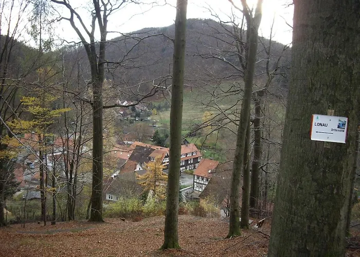 Bock Lonau - Wandern & Erholen Im Nationalpark Harz Διαμέρισμα